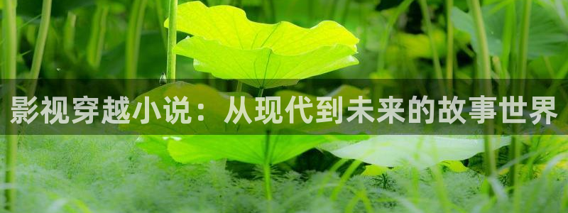 飘雪影院免费版：影视穿越小说：从现代到未来的故事世界
