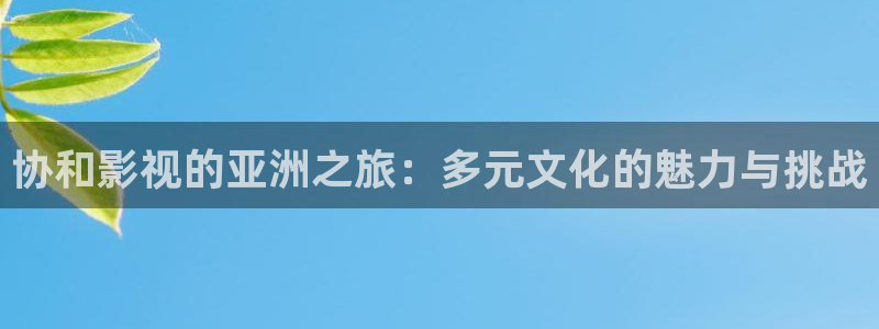 飘雪影院手机版免费：协和影视的亚洲之旅：多元文化的魅力与挑战