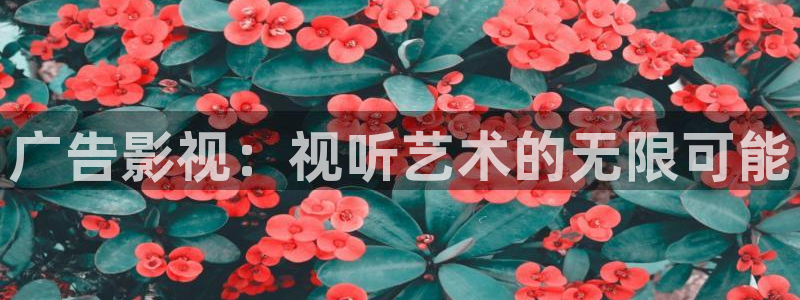 飘雪影院高清电影观看：广告影视：视听艺术的无限可能