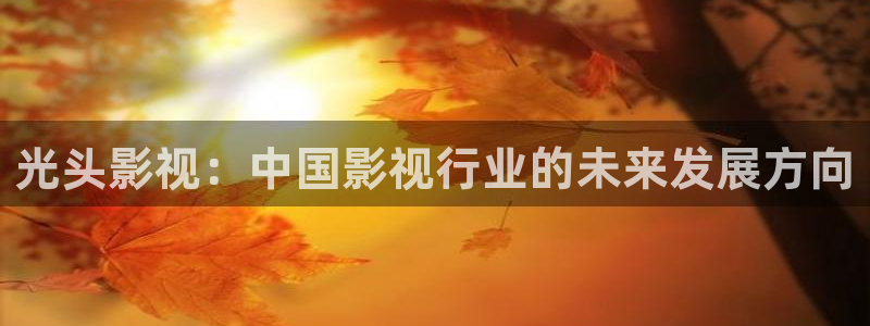 飘雪影视在线免费观看：光头影视：中国影视行业的未来发展方向