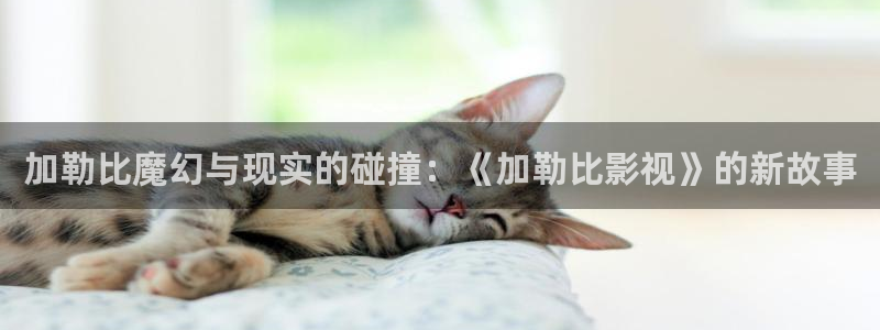 飘雪影院电影完整免费观看：加勒比魔幻与现实的碰撞：《加勒比影视》的新故事