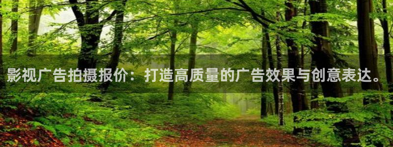 飘雪影院在线观看完整高清：影视广告拍摄报价：打造高质量的广告效果与创意表达。