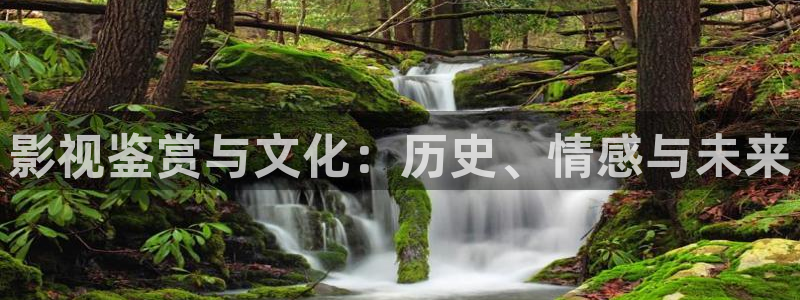 飘雪影院在线免费观看：影视鉴赏与文化：历史、情感与未来