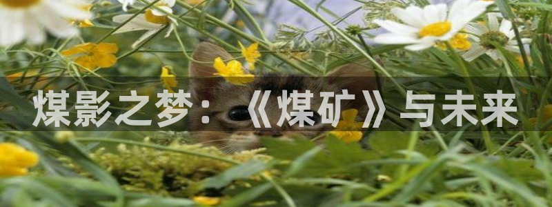 飘雪影院下载：煤影之梦：《煤矿》与未来