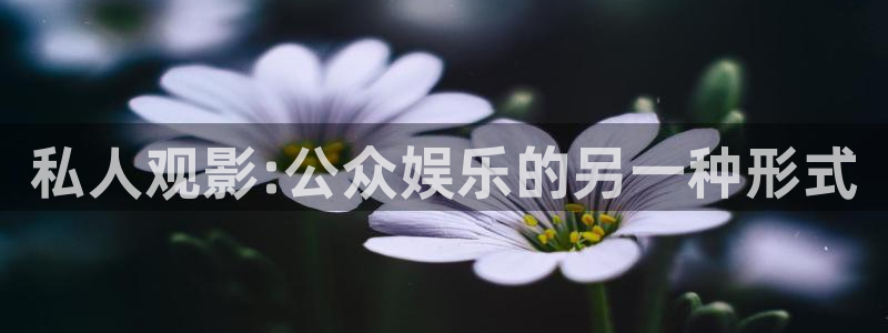 飘雪影视在线看