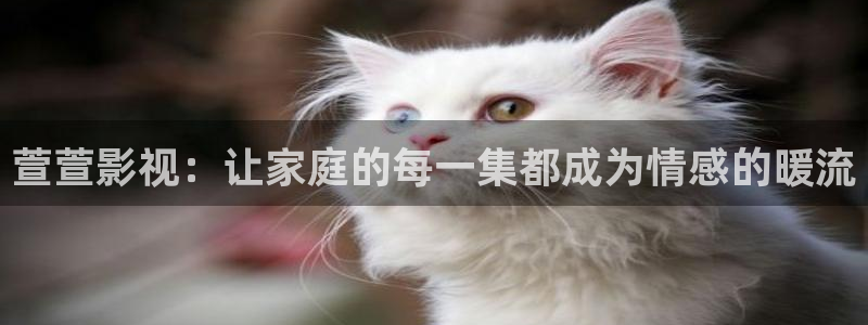 飘雪影院高清电影电视剧在线观看