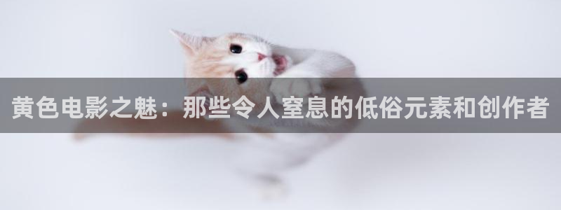 飘雪影院在线播放免费观看电视剧最新章节